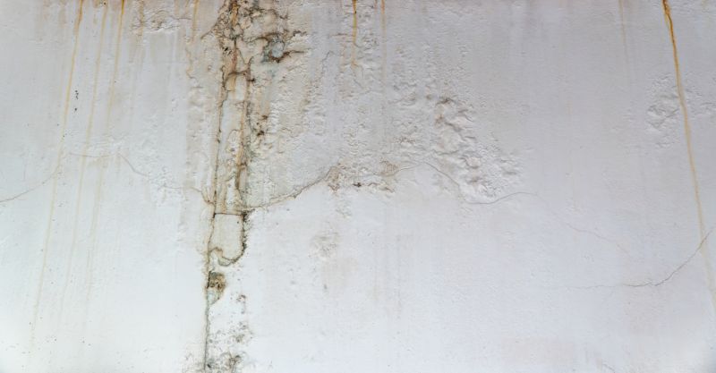 Attic Water Damage Repair in Denver County, CO