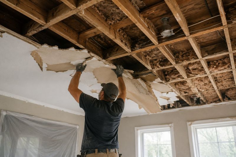 Ceiling Removal Service in Denver, CO