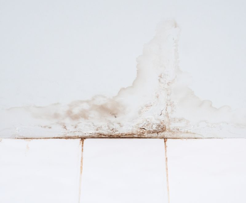 Bathroom Water Damage Repair in Katy, TX