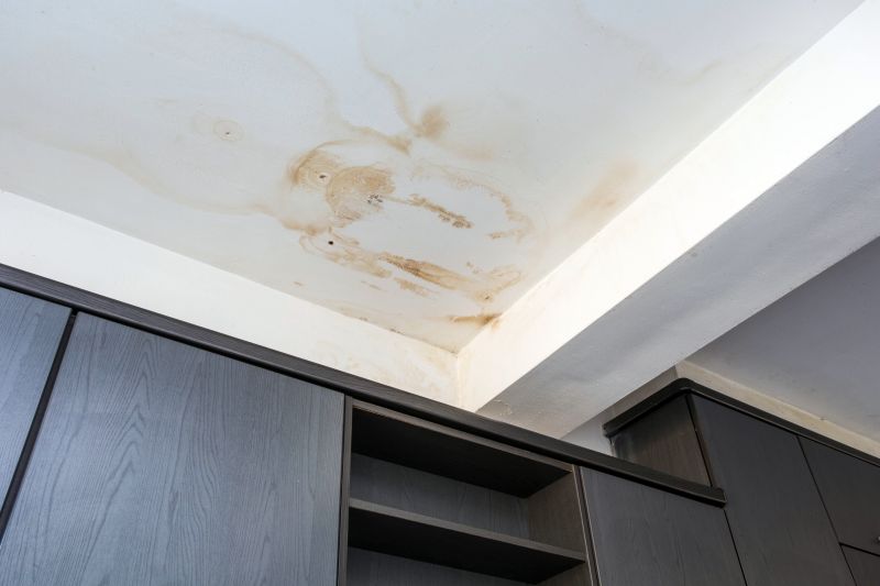 Ceiling Leak Repair Service in Denver, CO