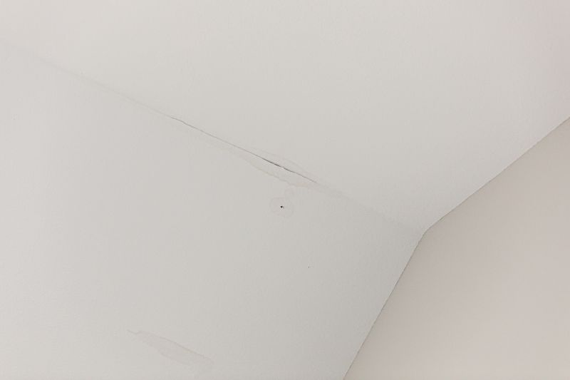 Ceiling Leak Repair Service in Conroe, TX