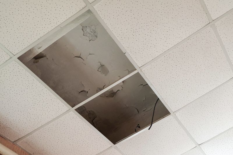 Ceiling Removal Service in Littleton, CO