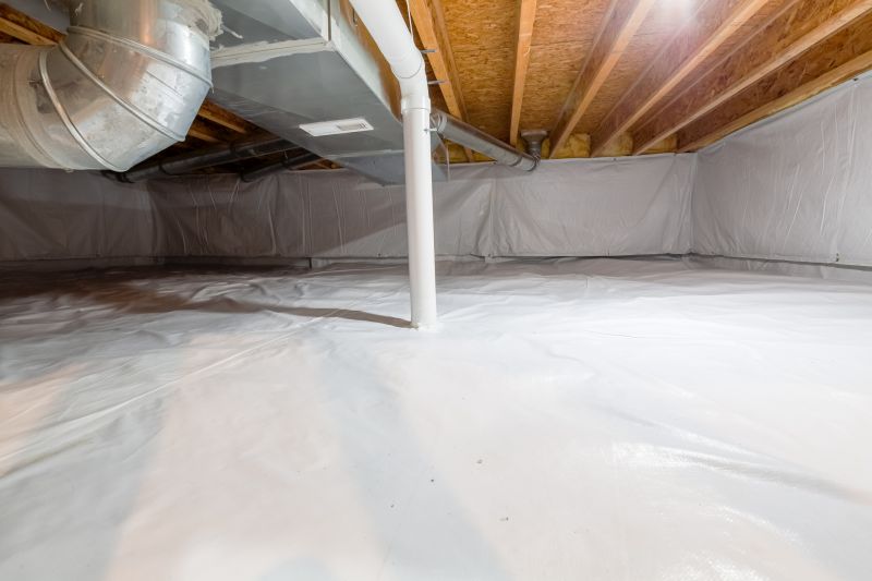Crawl Space Remediation in Conroe, TX