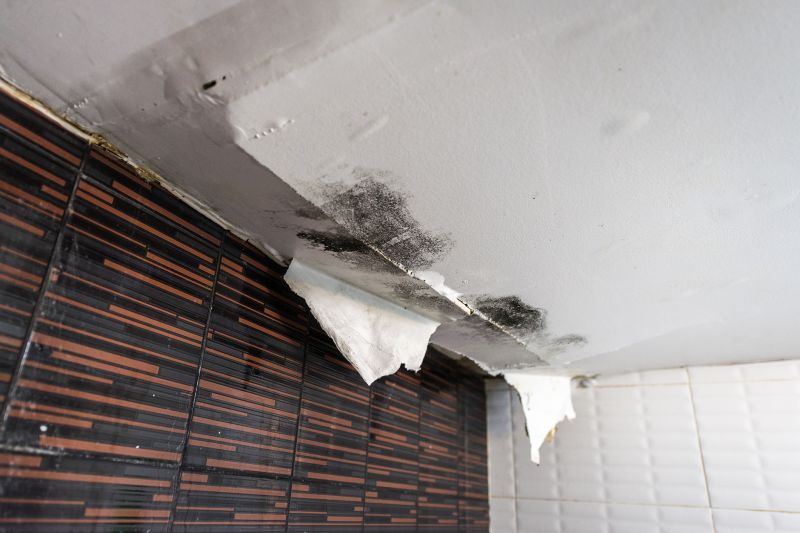 Leaking Ceiling Repair in Katy, TX